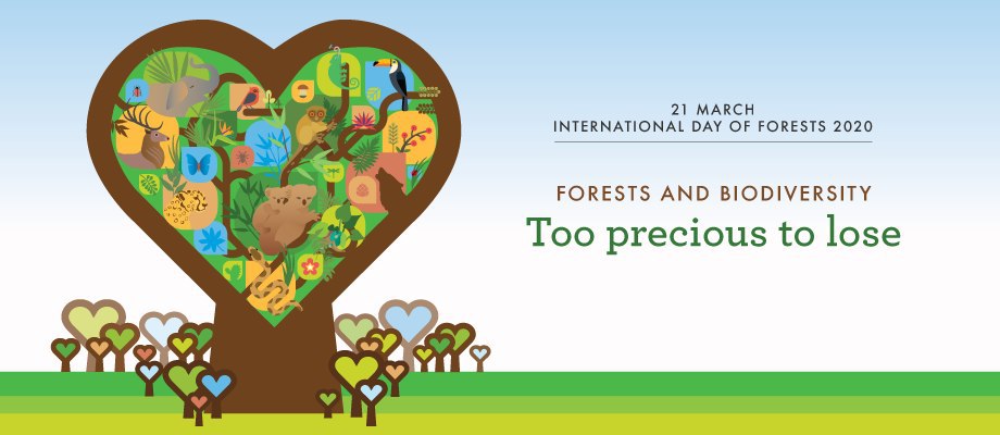 March 21 - International Forest Day celebrated worldwide